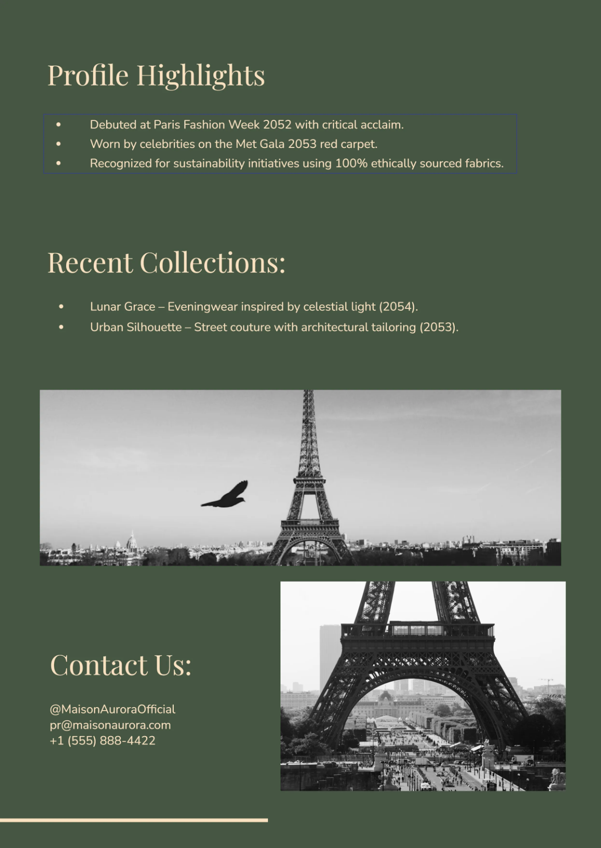 Free Fashion Press Kit Template to Edit Online