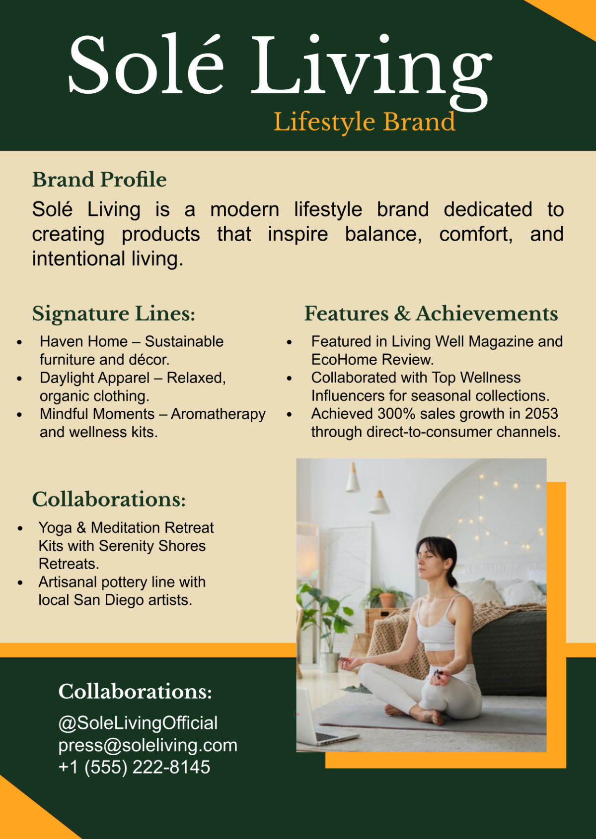 Free Colorful Lifestyle Press Kit Template to Edit Online