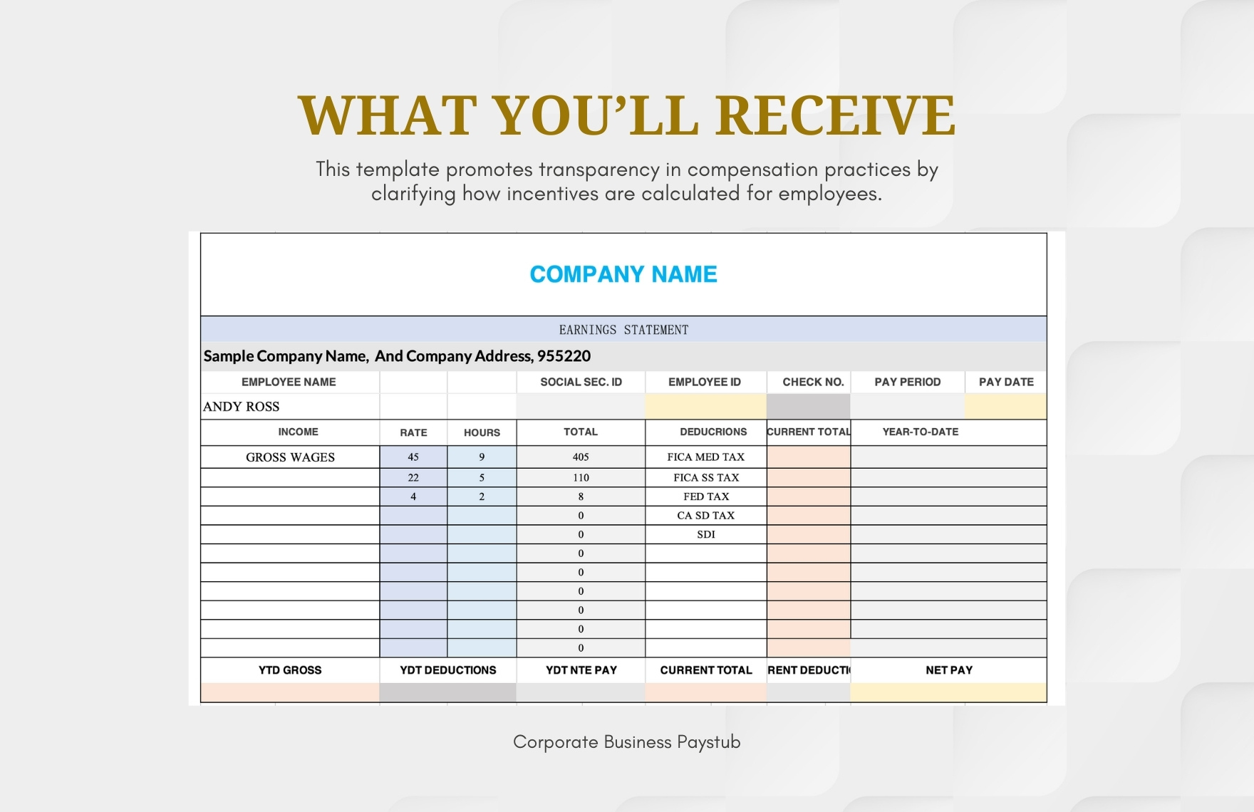 Corporate Business Paystub Template