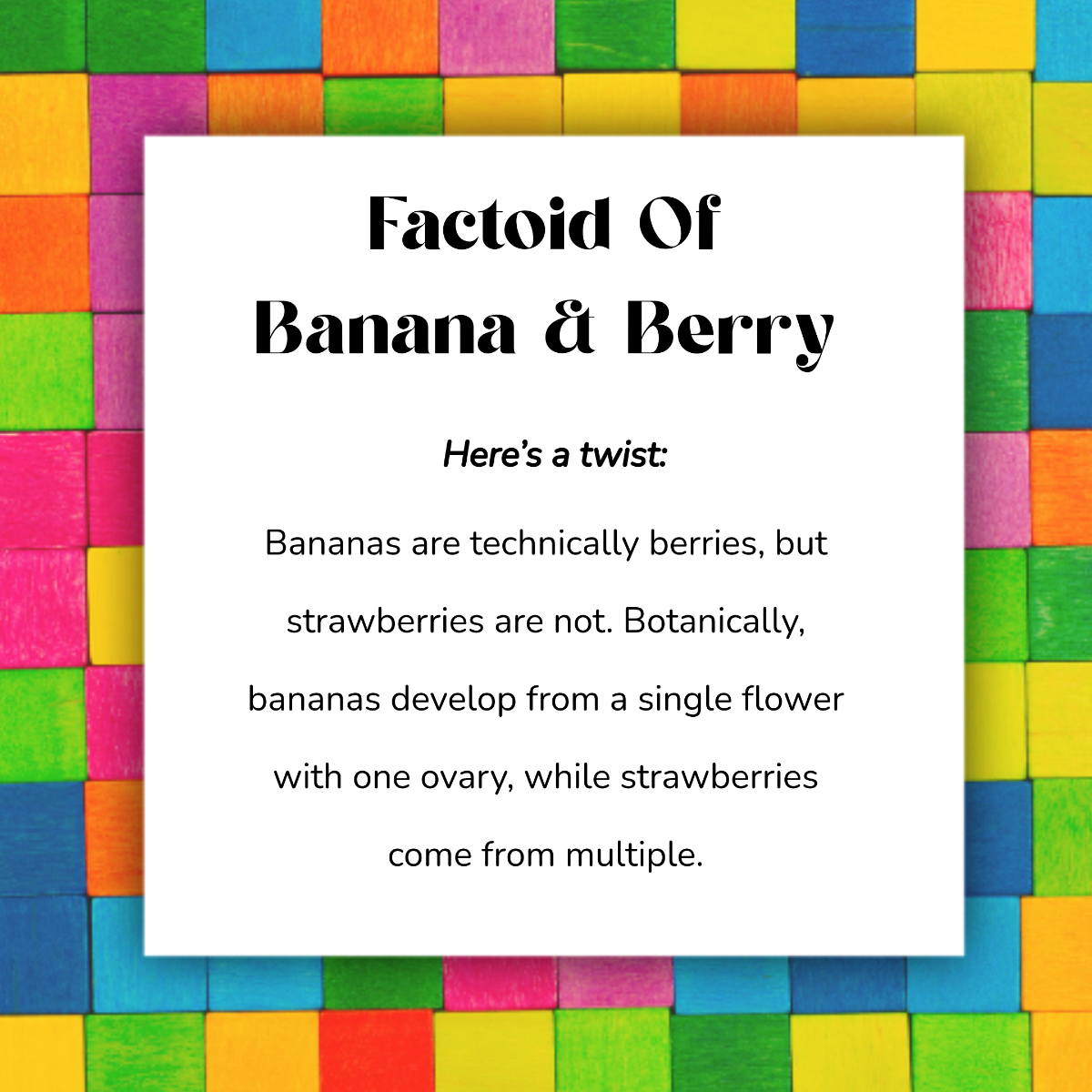 Free Colorful Fun Factoid Template to Edit Online