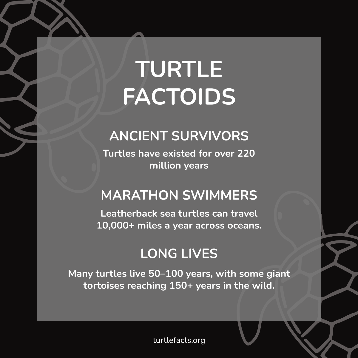 Free Black and White Factoid List Template to Edit Online