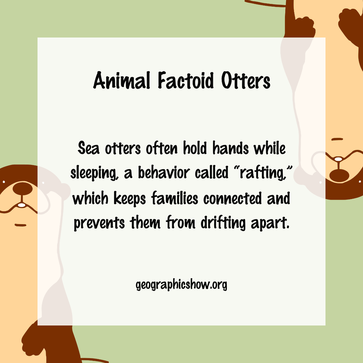 Free One-Page Factoid Template to Edit Online