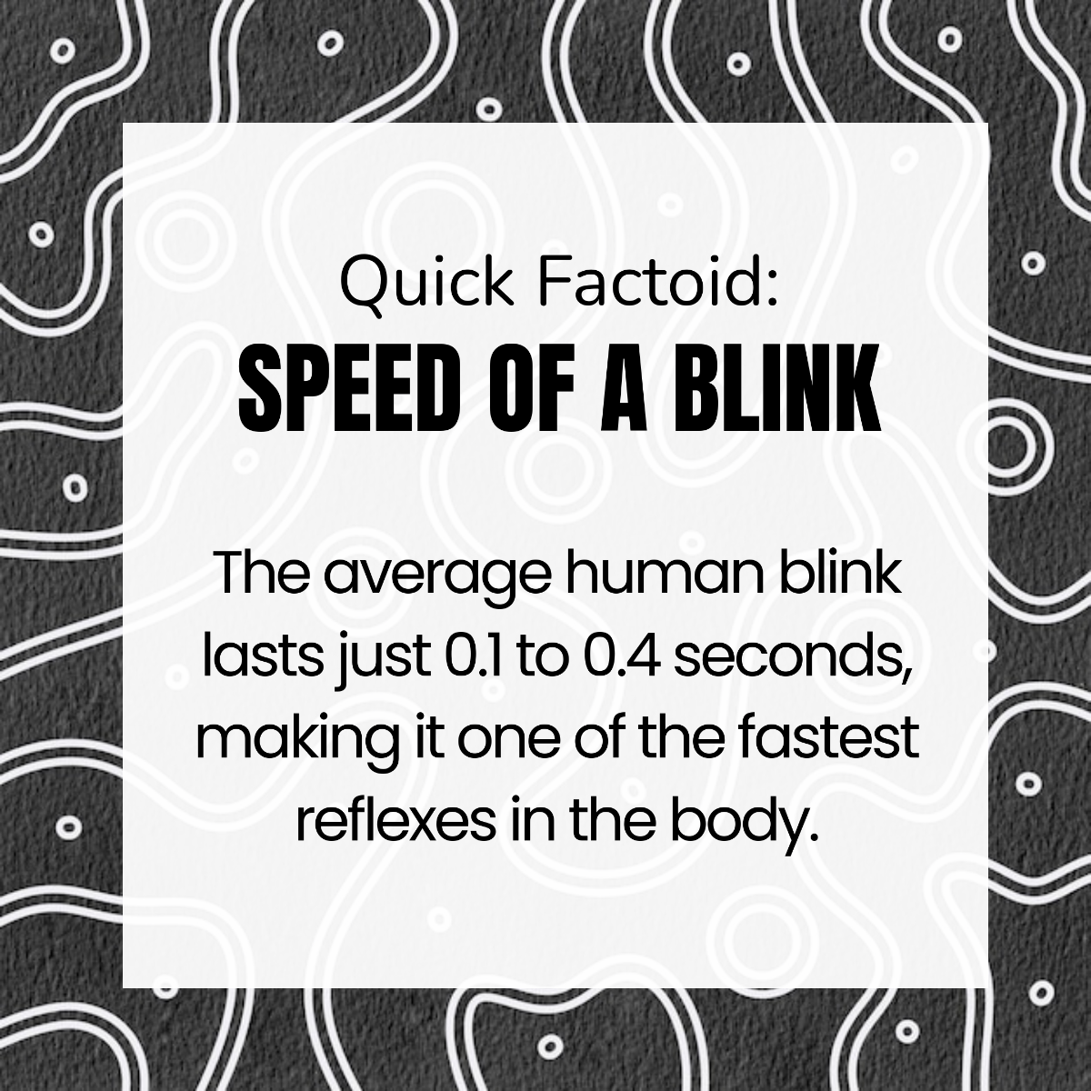 Free Quick Factoid Template to Edit Online