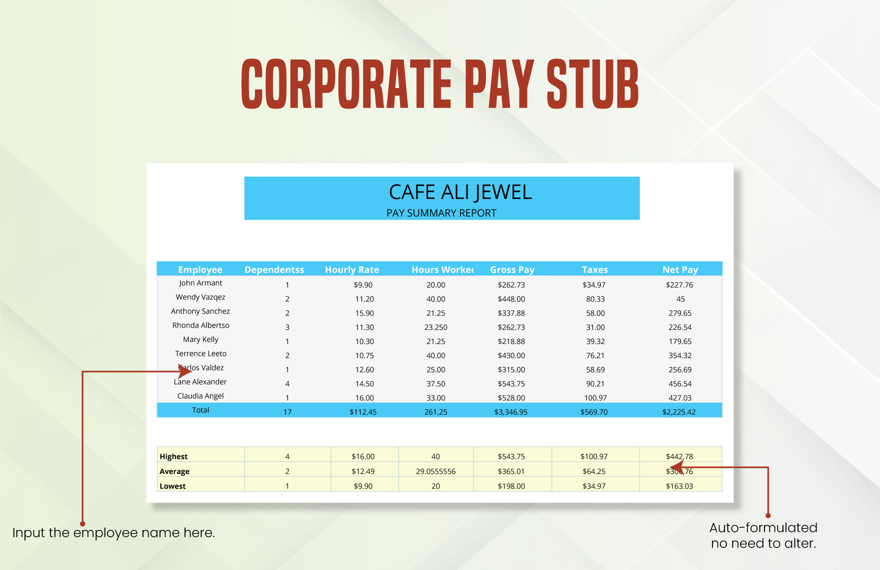 Corporate Pay Stub Template