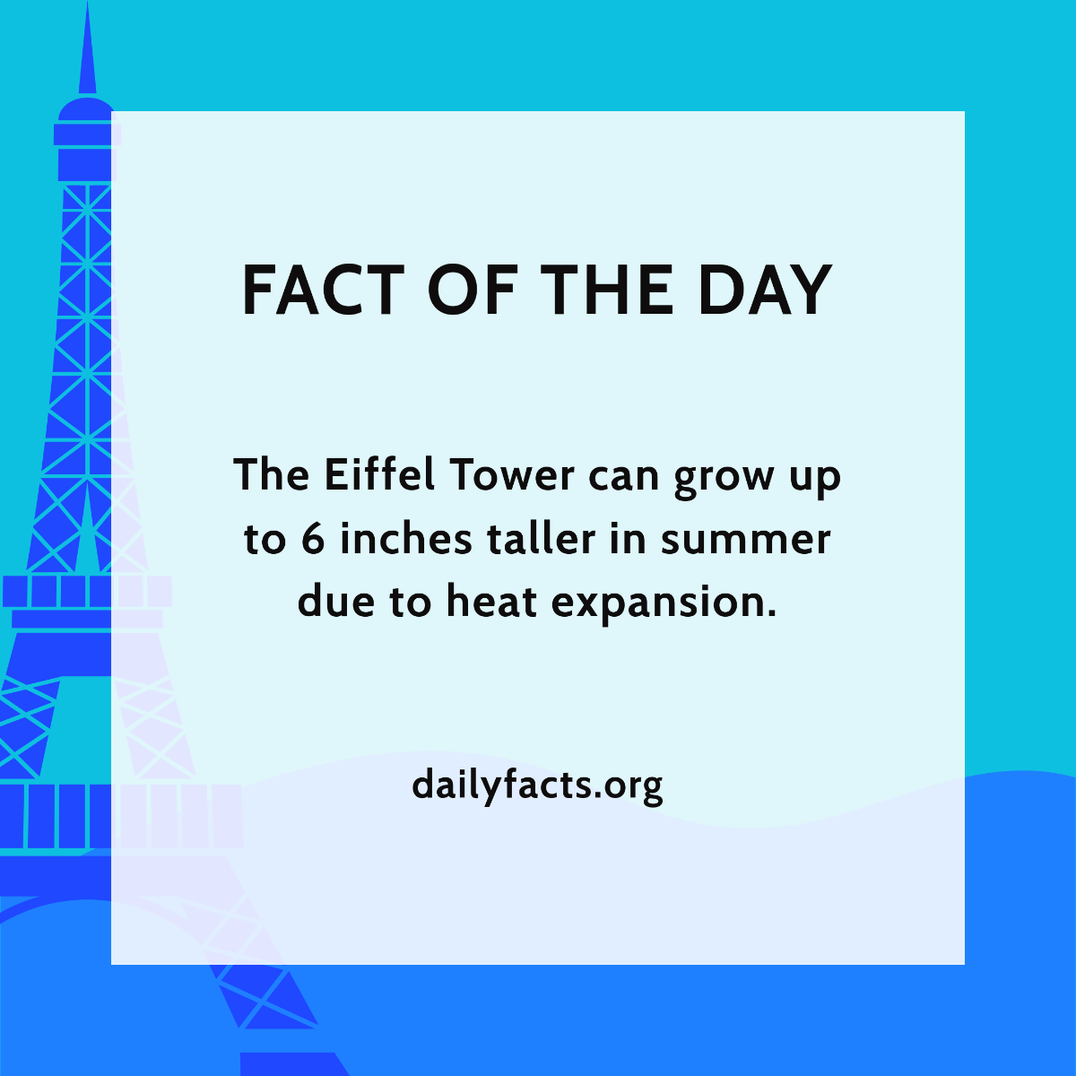 Free Factoid Wallpaper Template to Edit Online