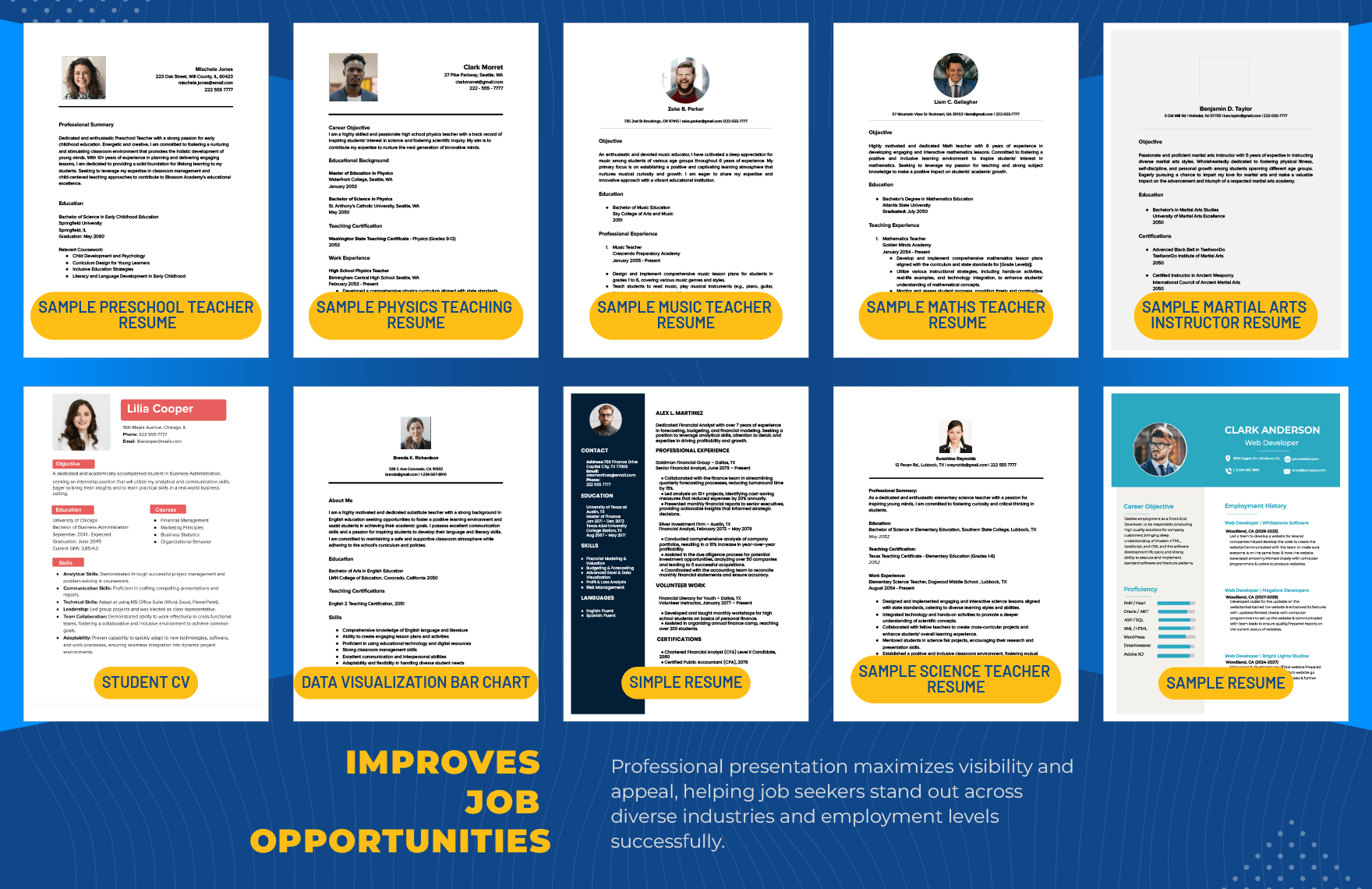 50+ Professional Resume Template Bundle