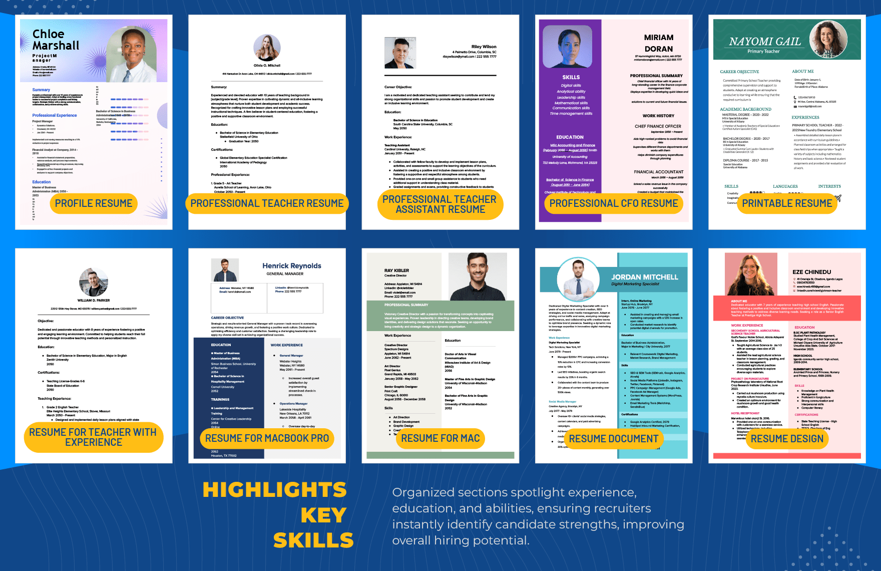 50+ Professional Resume Template Bundle