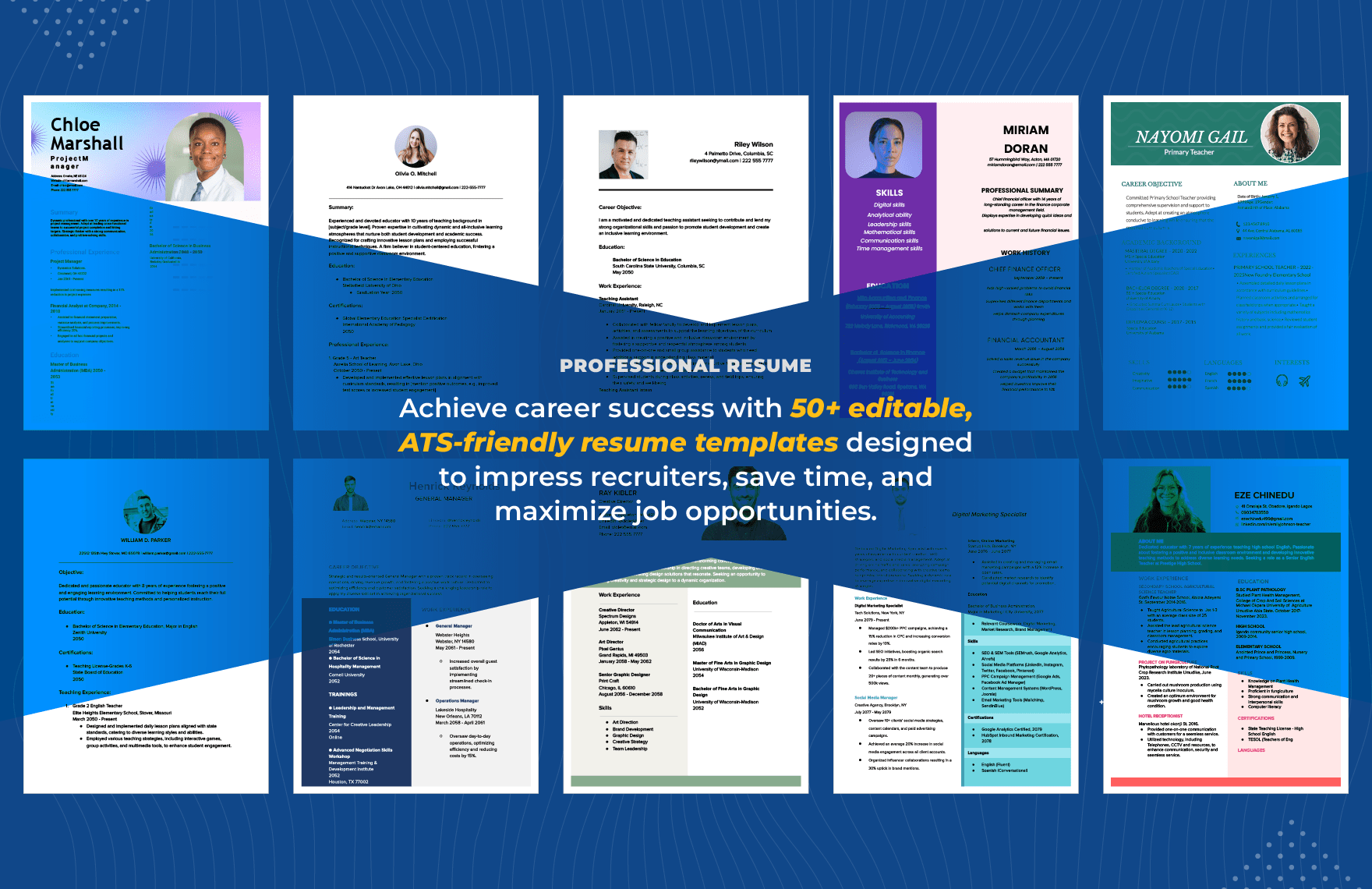 50+ Professional Resume Template Bundle
