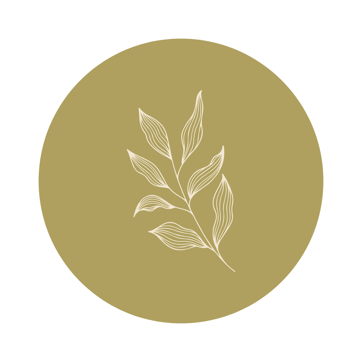 Free Boho Instagram Highlight Template to Edit Online