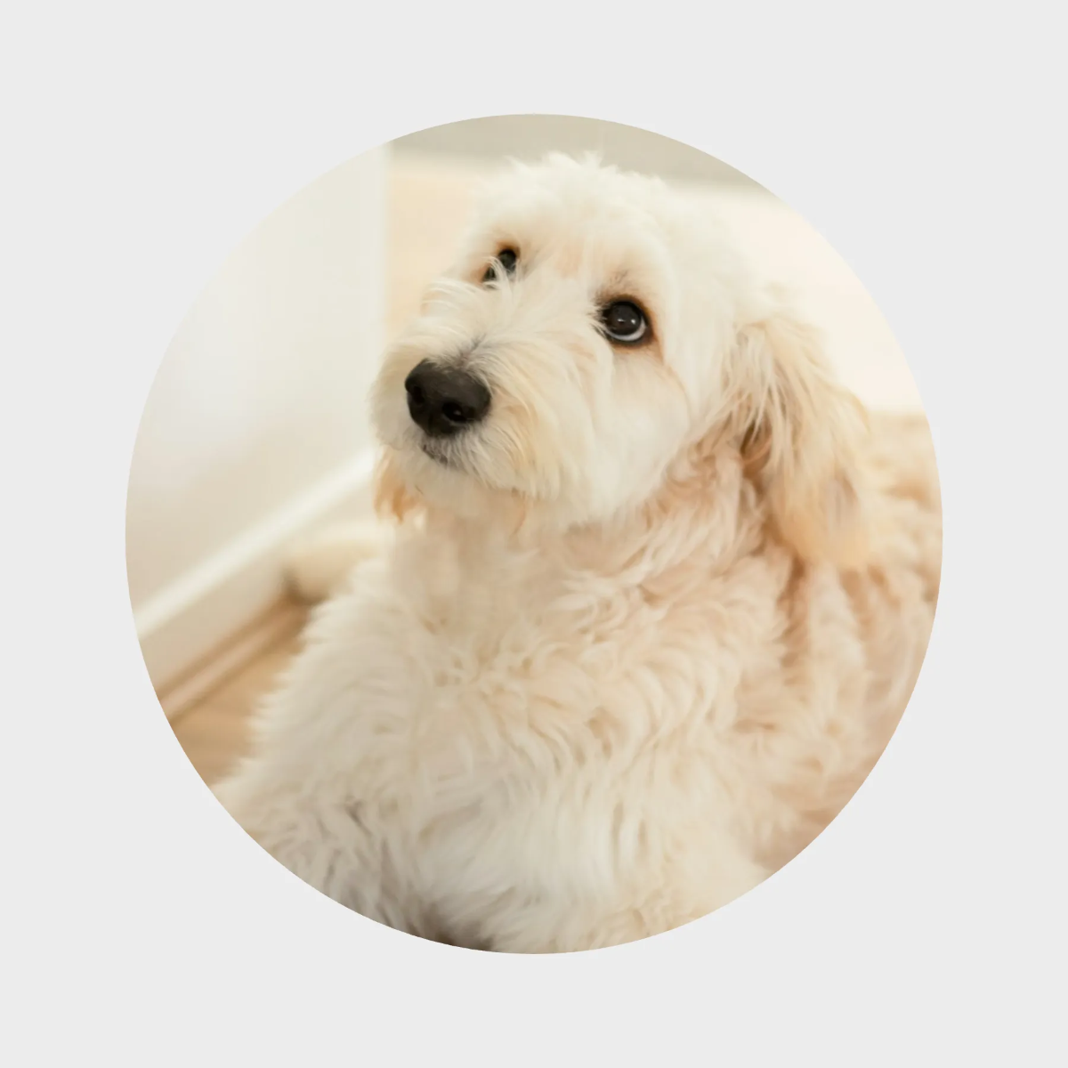 Free Lifestyle Instagram Highlight Cover Template to Edit Online