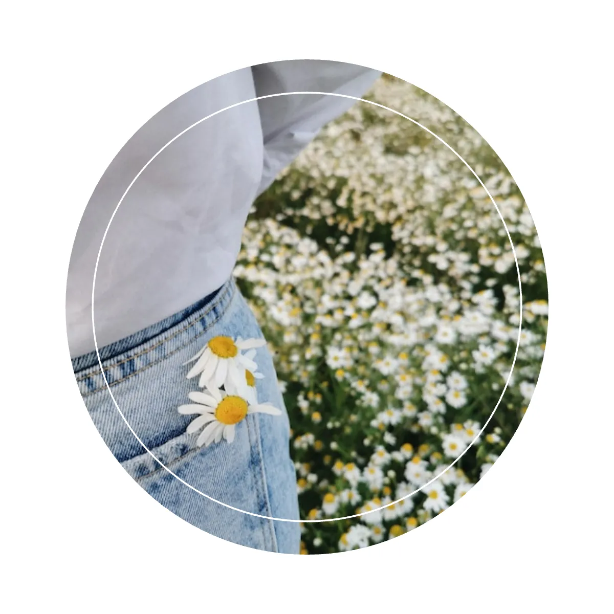 Free Season Instagram Highlight Cover Template to Edit Online