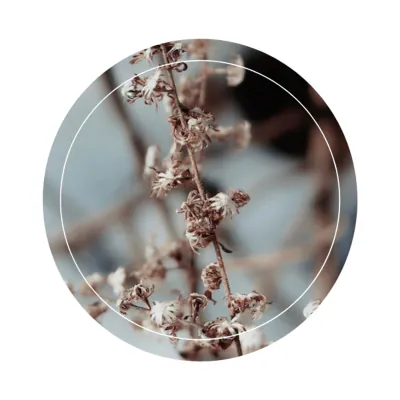 Free Season Instagram Highlight Cover Template to Edit Online