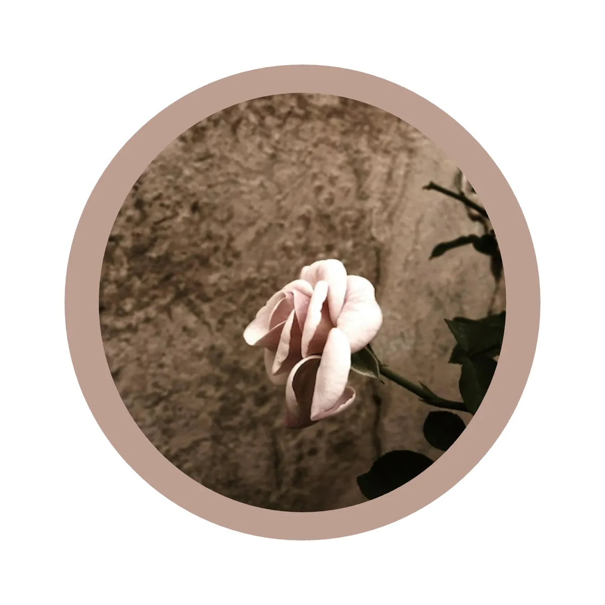 Free Dark Aesthetic Instagram Highlight Cover Template to Edit Online