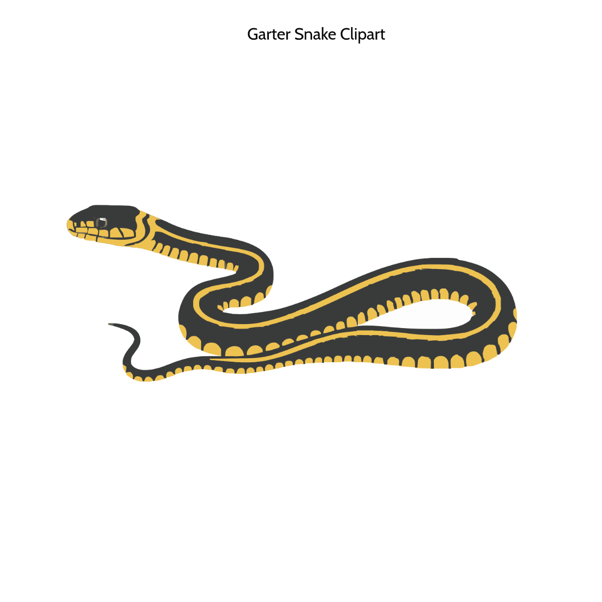 Free garter snake clipart to Edit Online