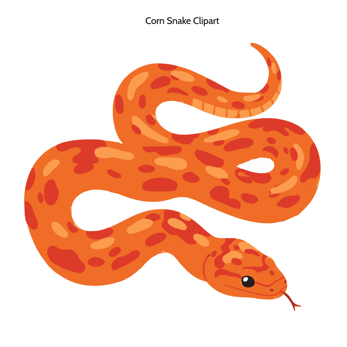 Free Corn Snake Clipart to Edit Online