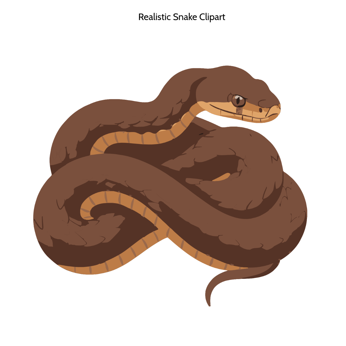 Free Realistic Snake Clipart to Edit Online