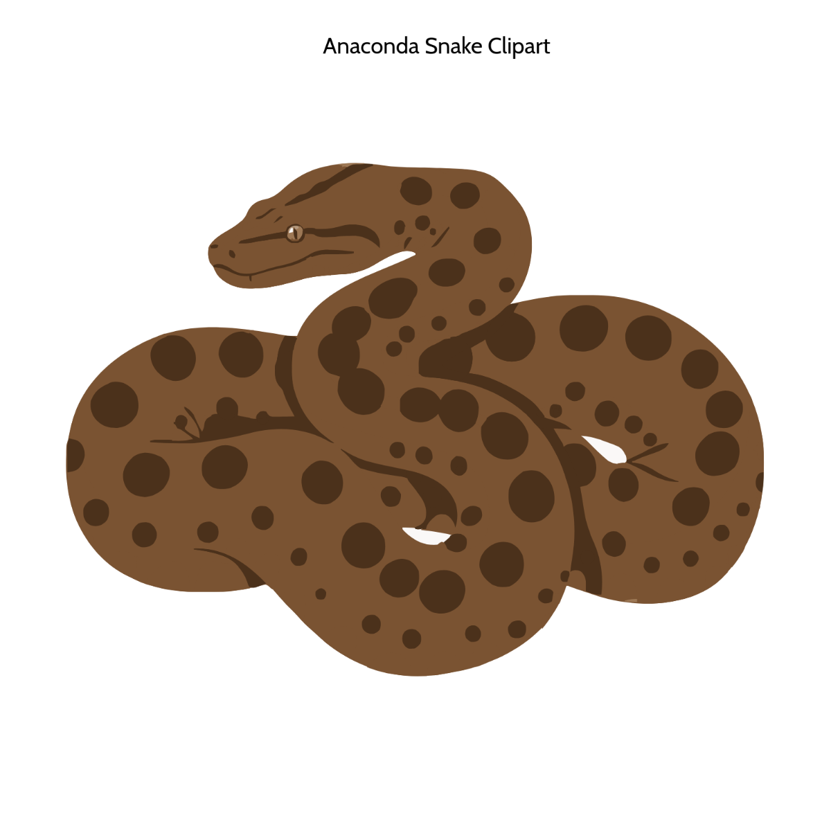 Free Anaconda Snake Clipart to Edit Online