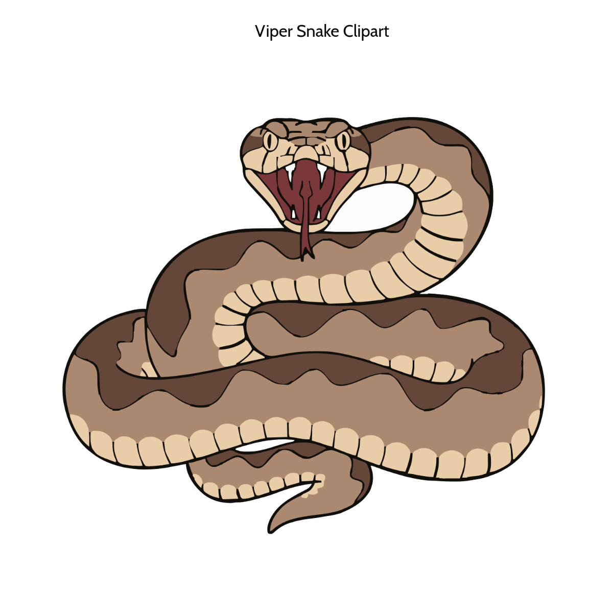 Free Viper Snake Clipart to Edit Online
