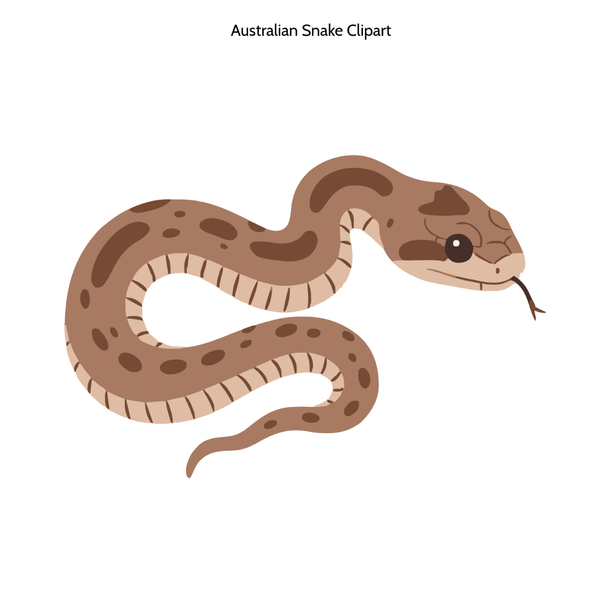Free Australian Snake Clipart to Edit Online