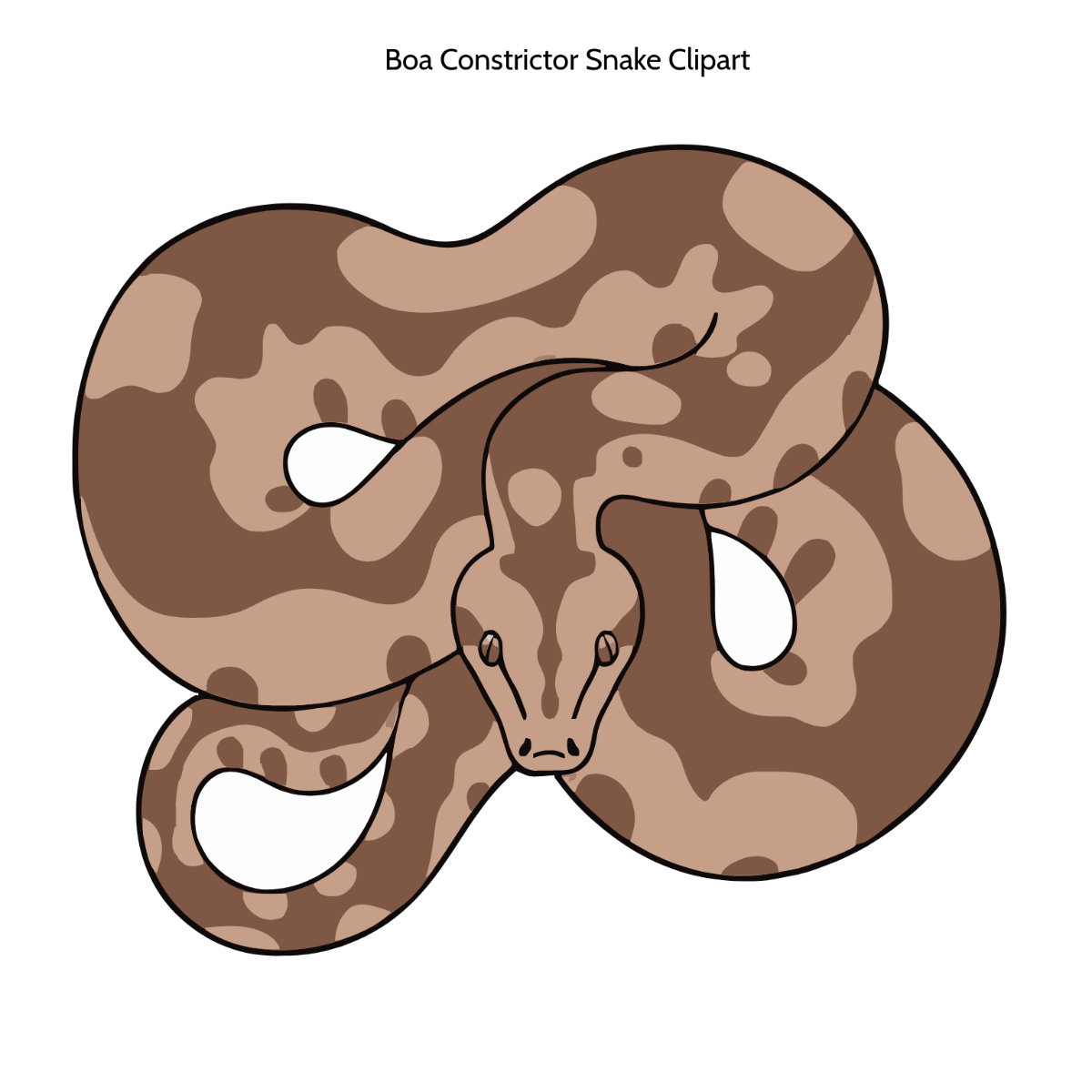 Free Boa Constrictor Snake Clipart to Edit Online