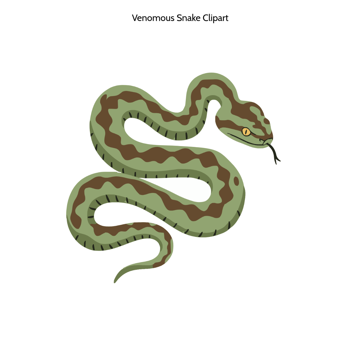 Free Venomous Snake Vector Clipart (PNG, SVG) to Edit Online