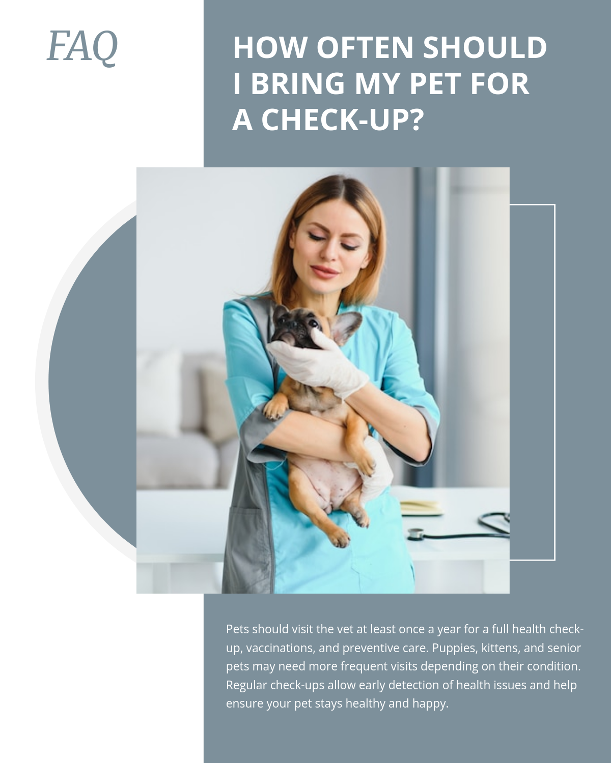 Free Veterinary FAQ Facebook  Post Template to Edit Online