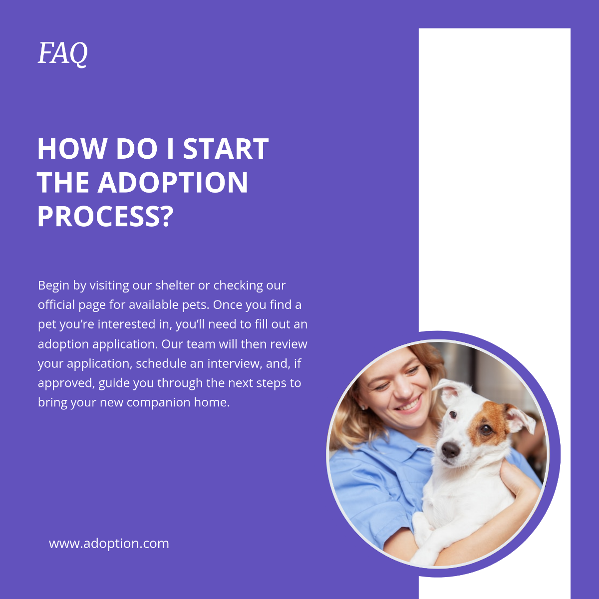 Free Adoption FAQ Template to Edit Online