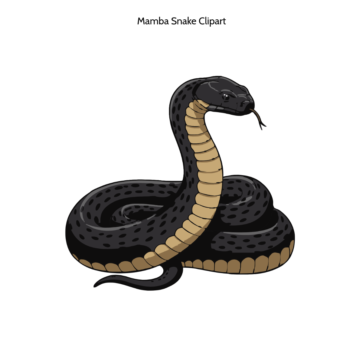 Free Mamba Snake Drawing Vector Clipart (PNG, SVG) to Edit Online