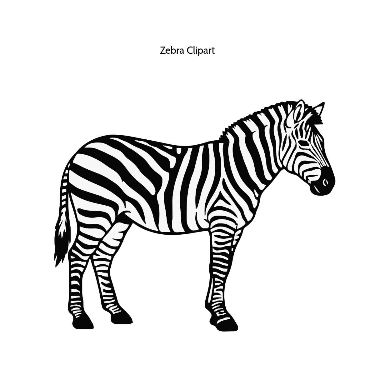 Zebra Animal Clipart