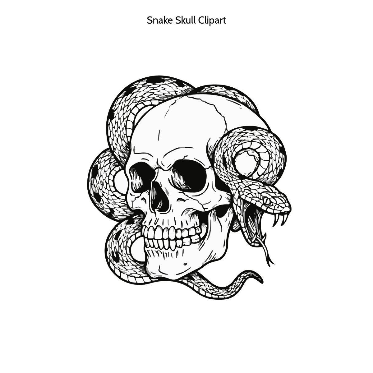 Free Snake Skull Clipart to Edit Online