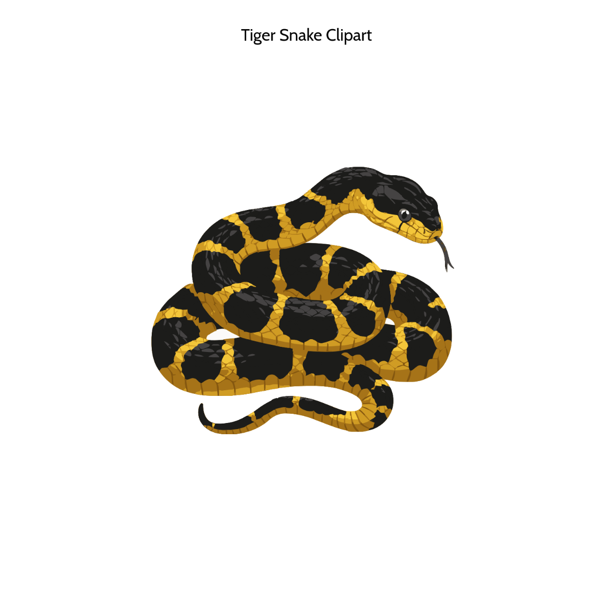 Free Tiger Snake Clipart to Edit Online