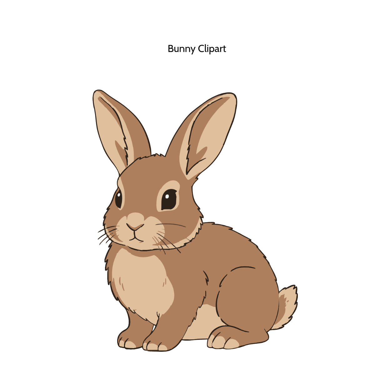 Bunny Clipart