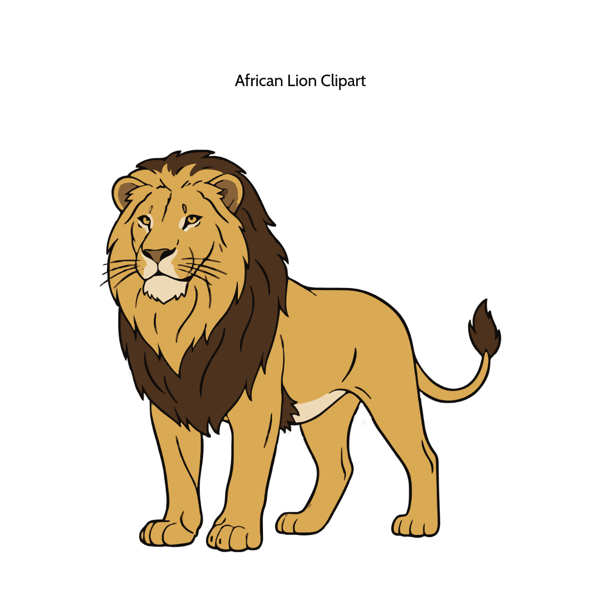 Free African Lion Vector Clipart (PNG, SVG) to Edit Online
