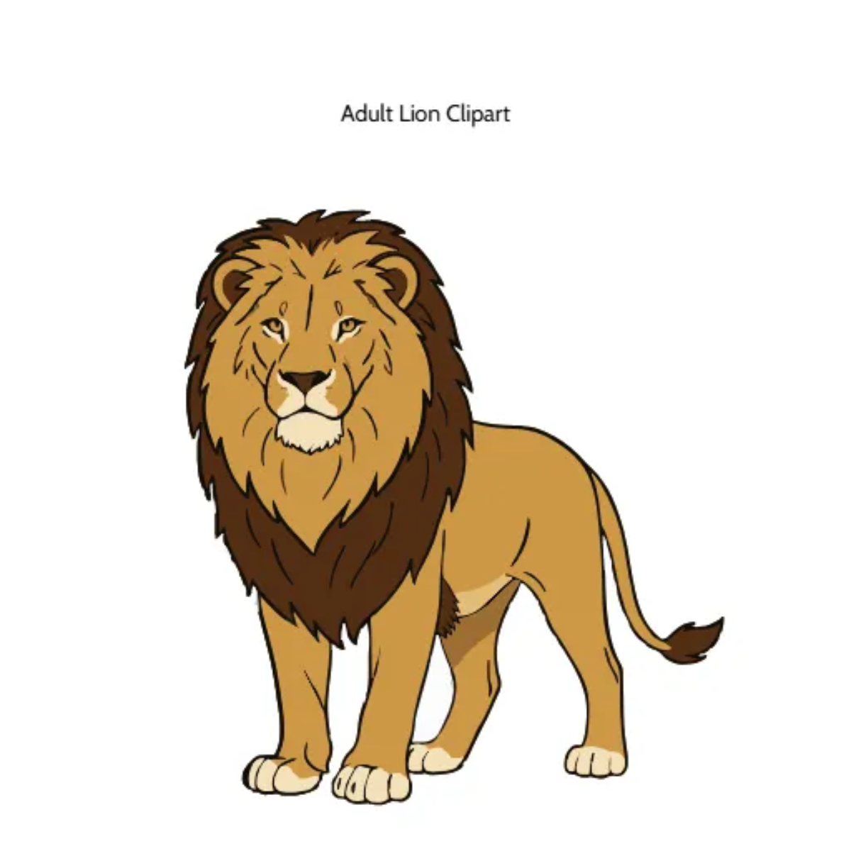 Free Adult Lion Vector Clipart (PNG, SVG) to Edit Online