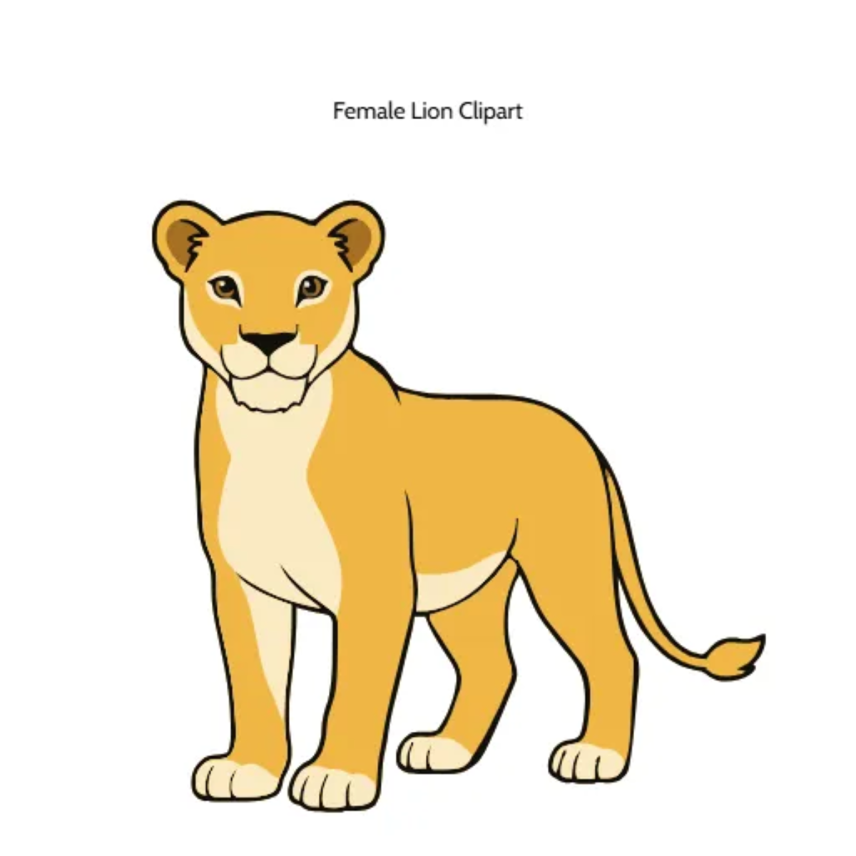 Free Female Lion Vector Clipart (PNG, SVG) to Edit Online
