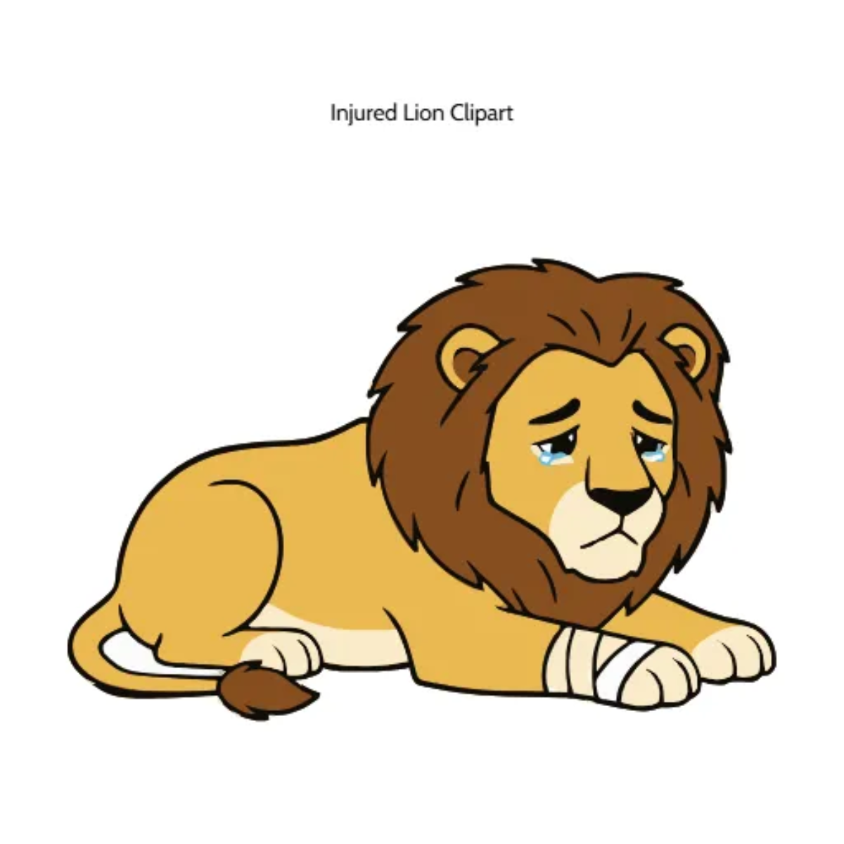 Free Injured Lion Vector Clipart (PNG, SVG) to Edit Online