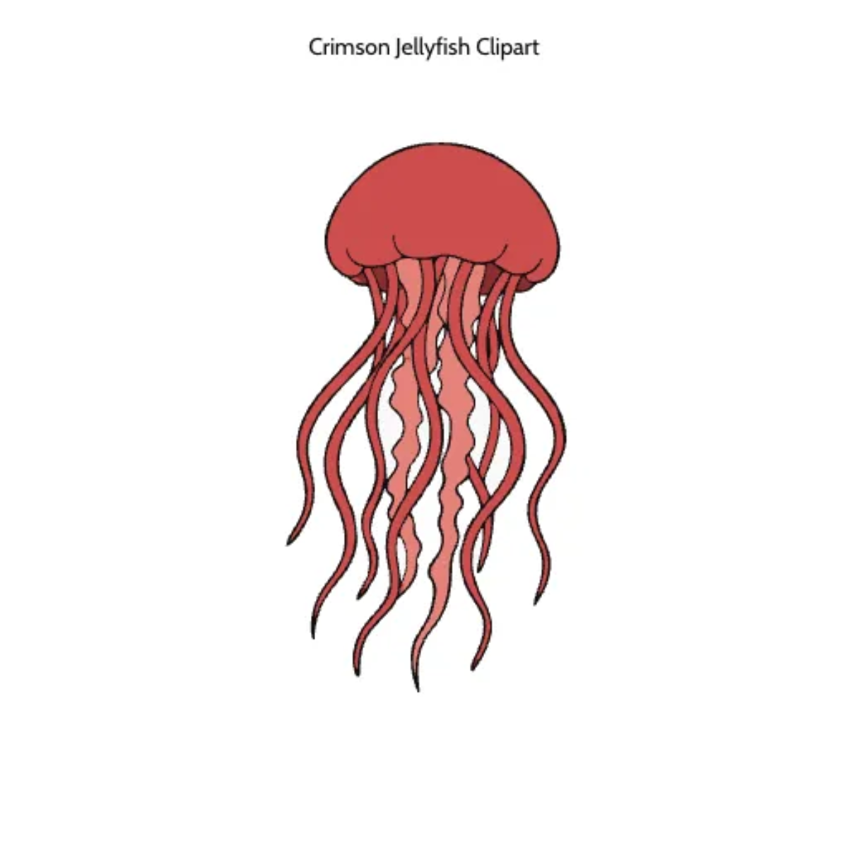Free Crimson Jellyfish Clipart Template to Edit Online