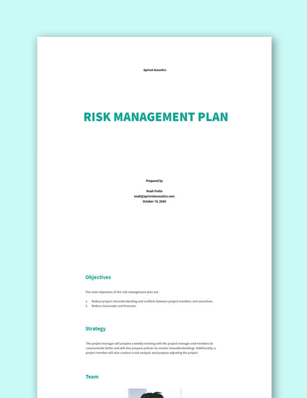 Free Sample Risk Mitigation Plan Template - Google Docs, Word, Apple ...