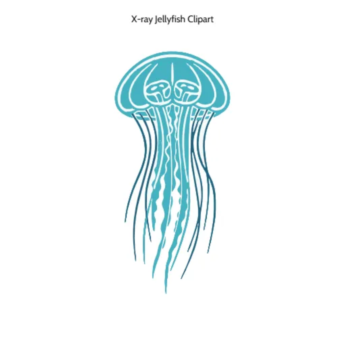 Free X ray Jellyfish Clipart Template to Edit Online