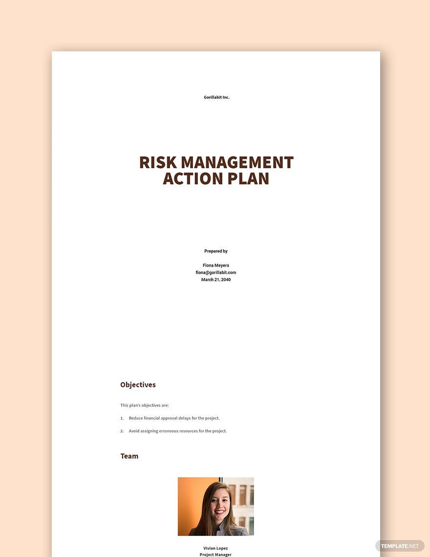 Risk Management Action Plan Template