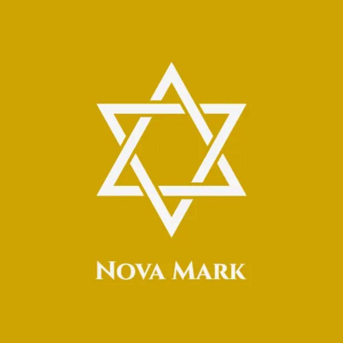 Free Star Business Logo to Edit Online
