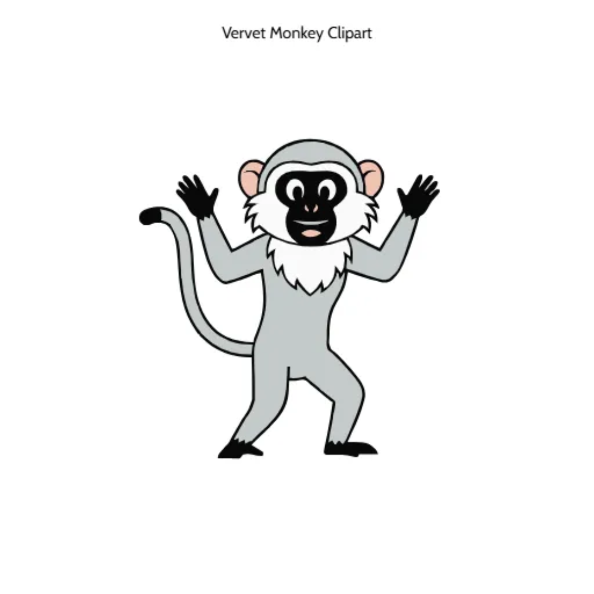 Free Vervet Monkey Clipart (PNG, SVG) to Edit Online