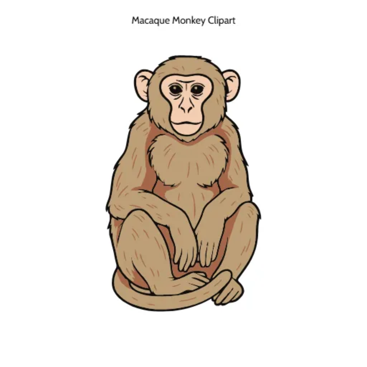 Free Macaque Monkey Vector Clipart (PNG, SVG) to Edit Online