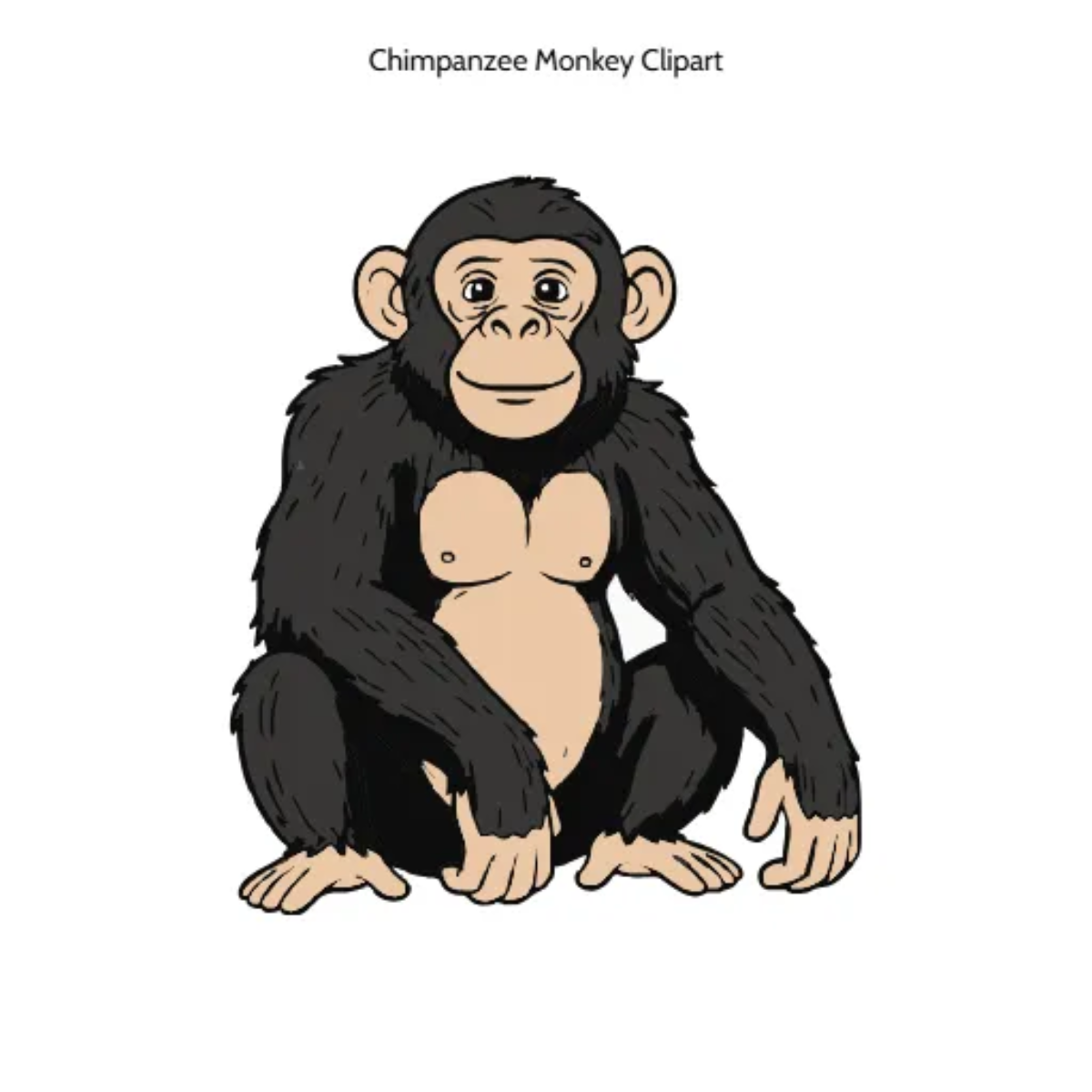 Free Chimpanzee Monkey Vector Clipart (PNG, SVG) to Edit Online