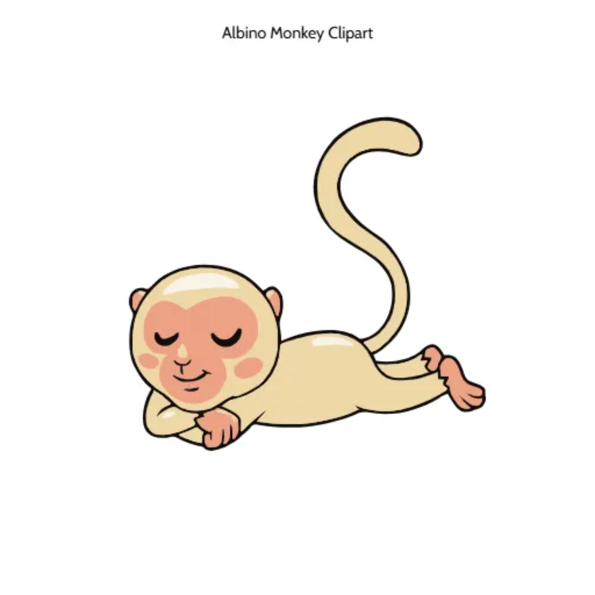 Free Albino Monkey Vector Clipart (PNG, SVG) to Edit Online