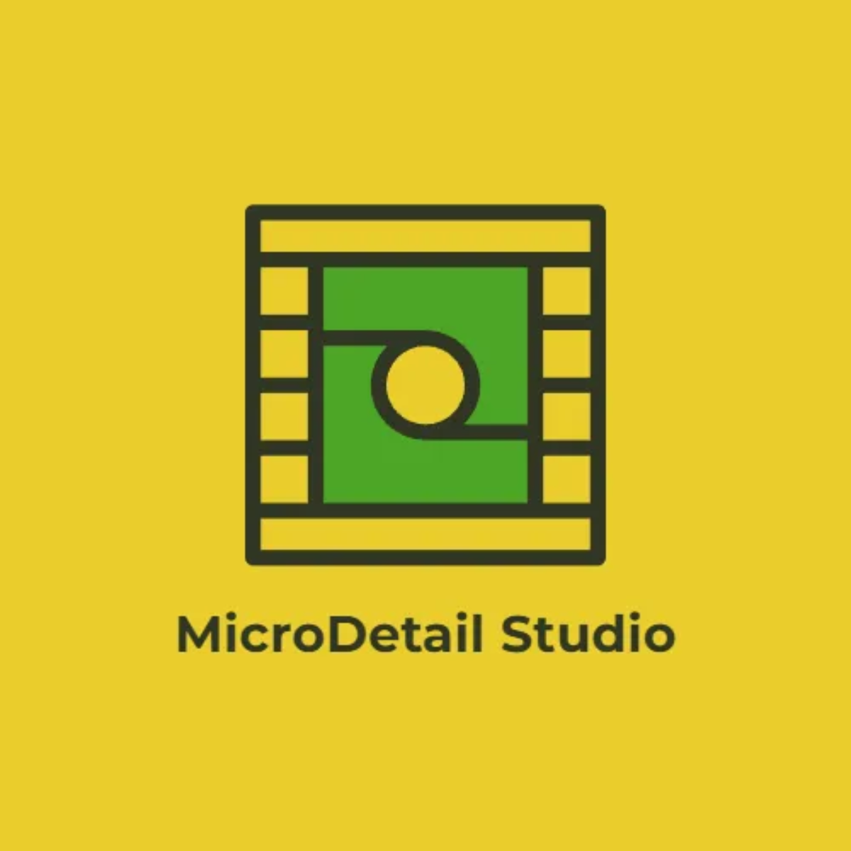Free Macro Camera Logo to Edit Online