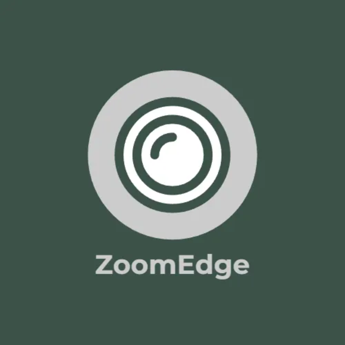 Free Zoom Camera Logo to Edit Online
