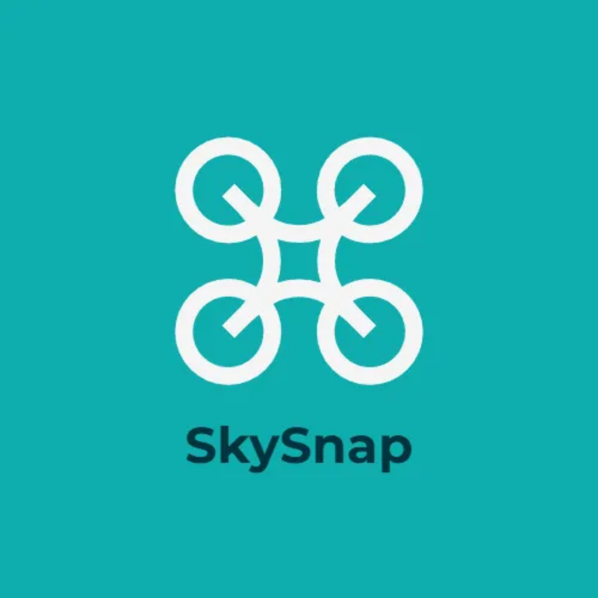 Free Drone Camera Logo to Edit Online