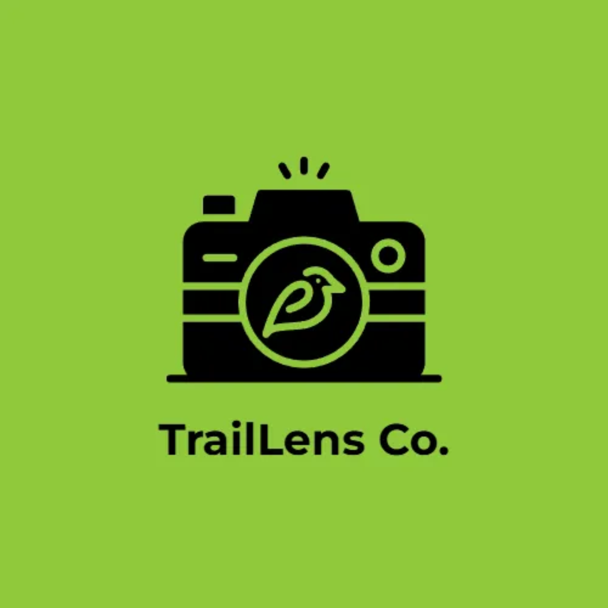 Free Adventure Camera Logo to Edit Online