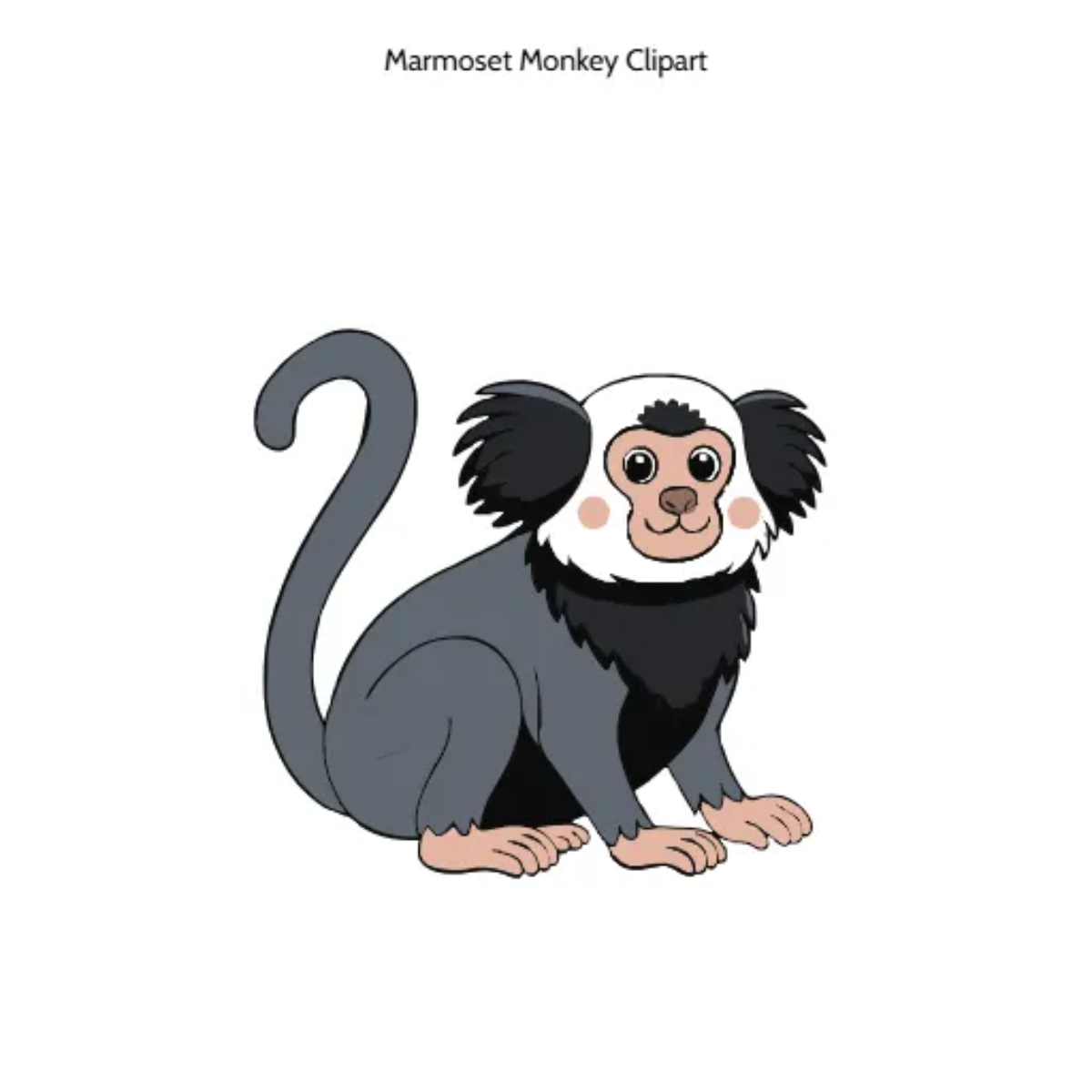 Free Marmoset Monkey Vector Clipart (PNG, SVG) to Edit Online